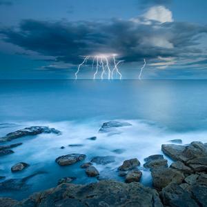 "Shocking Bondi", by Timothy Poulton.